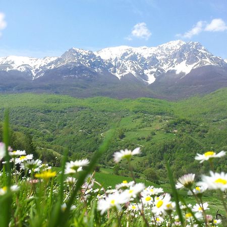 La Via Del Parco Βίλα Arsita Εξωτερικό φωτογραφία