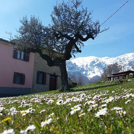 La Via Del Parco Βίλα Arsita Εξωτερικό φωτογραφία