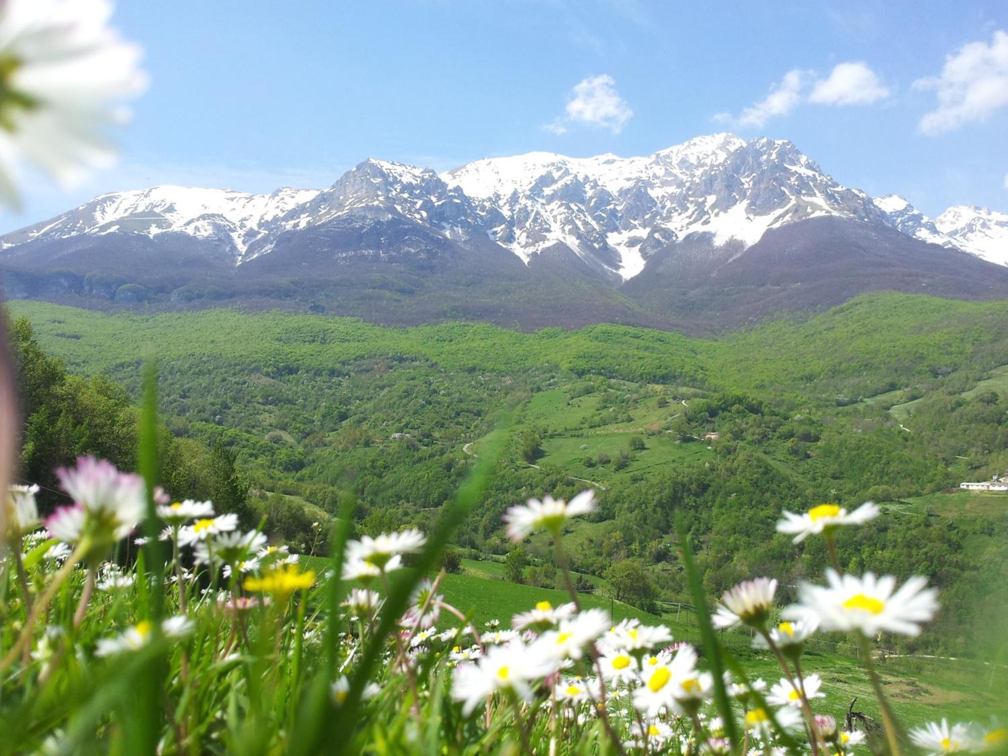 La Via Del Parco Βίλα Arsita Εξωτερικό φωτογραφία