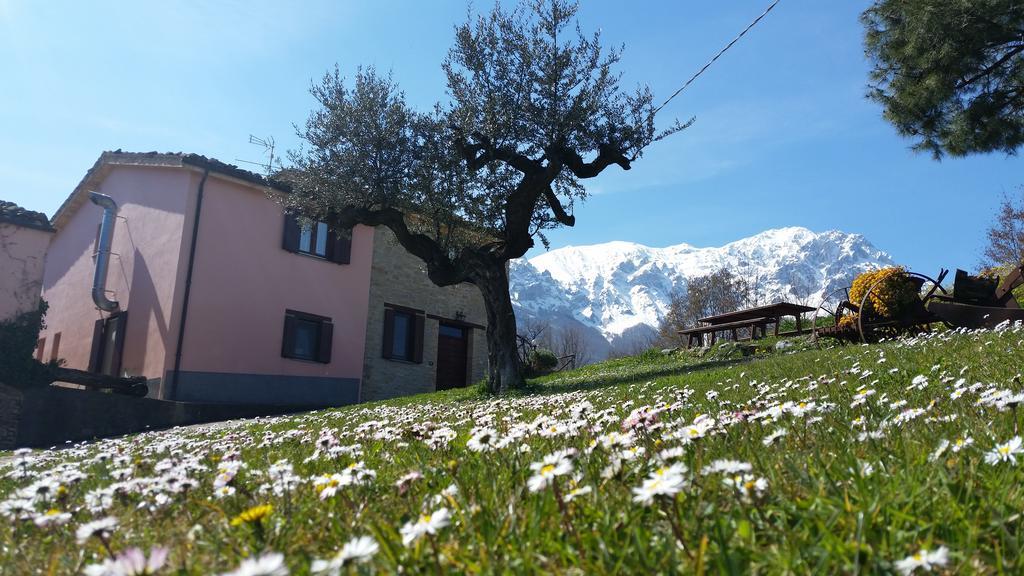 La Via Del Parco Βίλα Arsita Εξωτερικό φωτογραφία